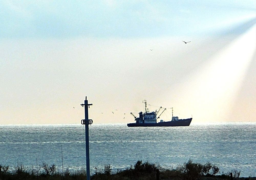 Photograph by Игорь Галеев