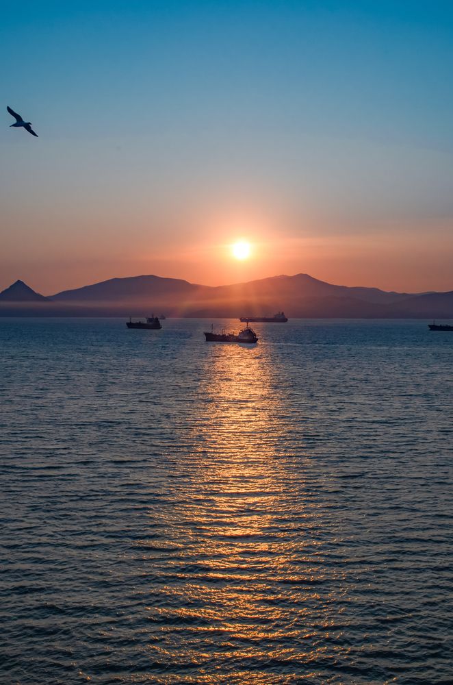 Photograph by Александр Коваль