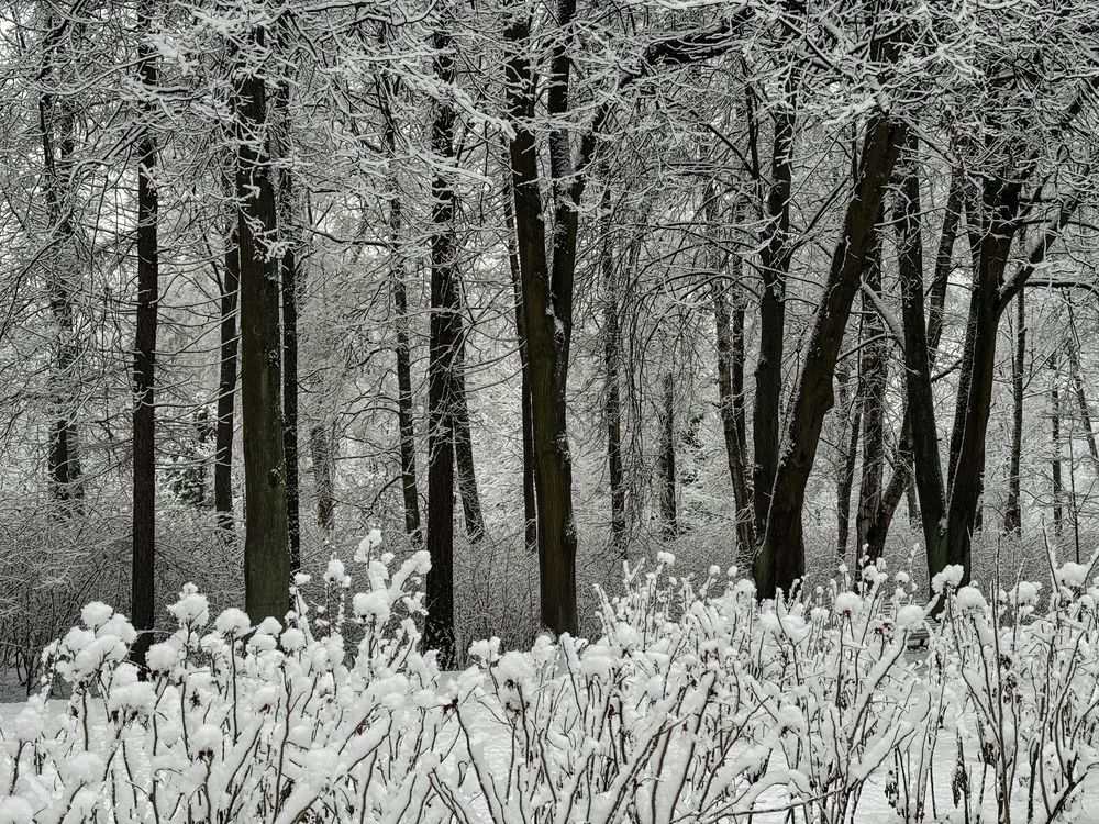 Photograph by Гордий Михаил