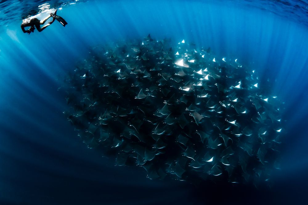 Photograph by nishijima takayuki