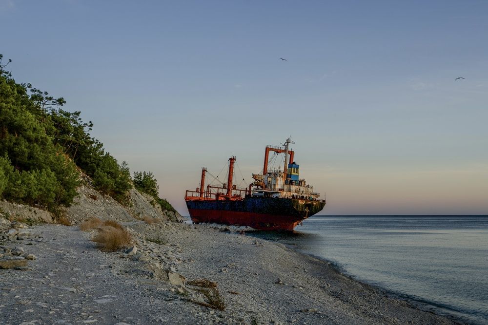 Фотография автора Viktoriya Kim