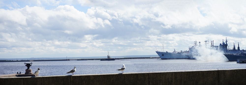 Фотография автора Игорь Винокуров