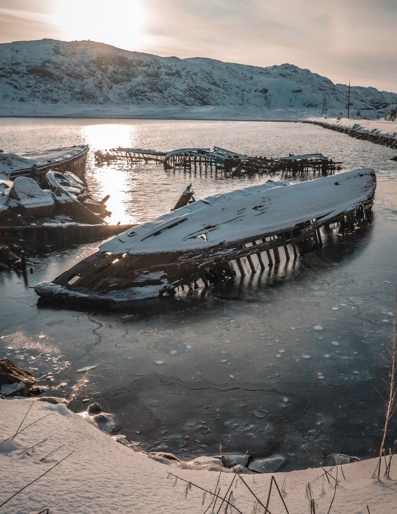 Скилет рыбы