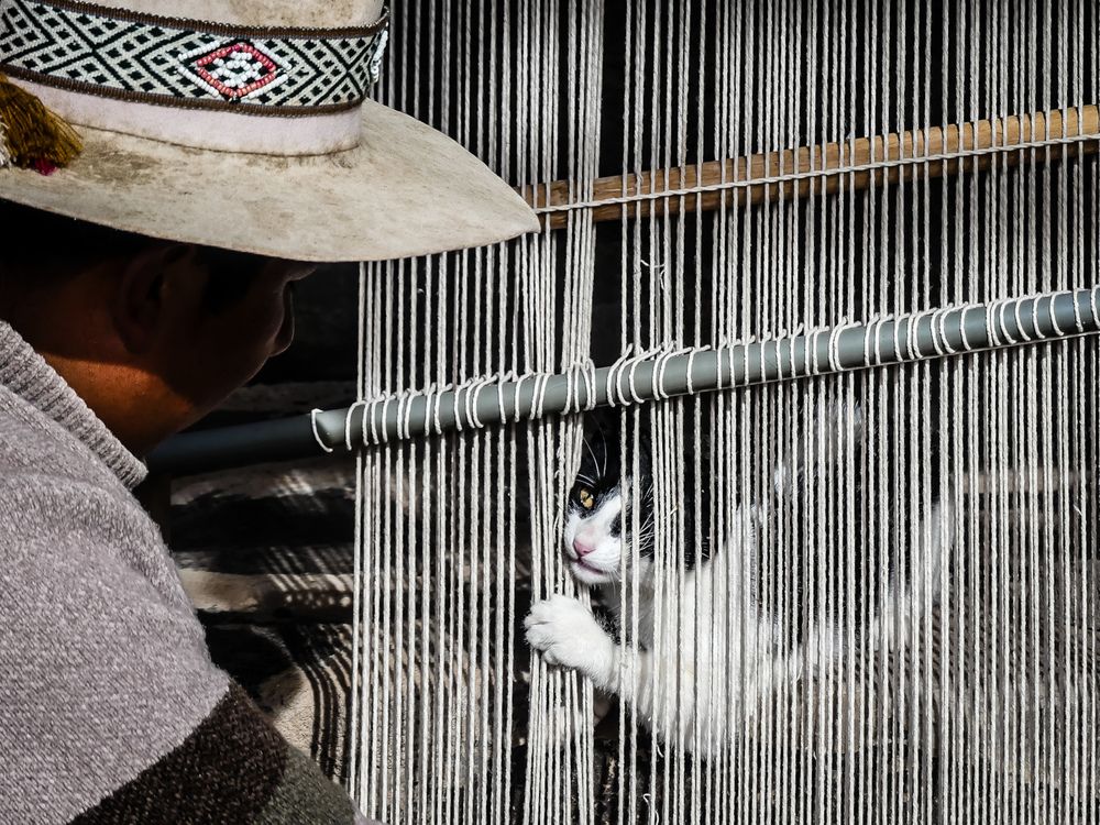 Photograph by Sven Delaye