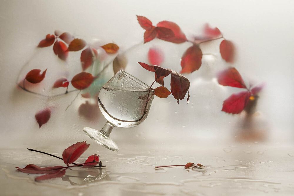 Photograph by Солодар Виктория