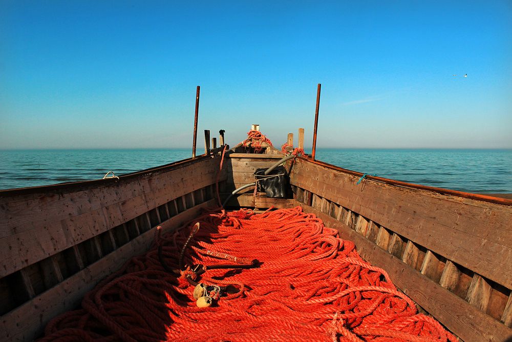 Photograph by hasan sorena jouri