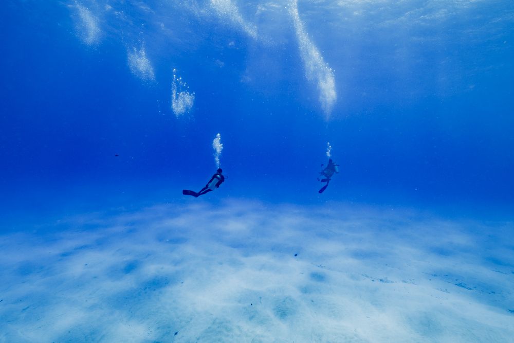 Photograph by nishijima takayuki