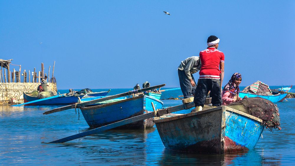 Photograph by Nada Khalifa