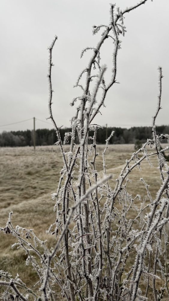 Photograph by Yuliya Abramovich