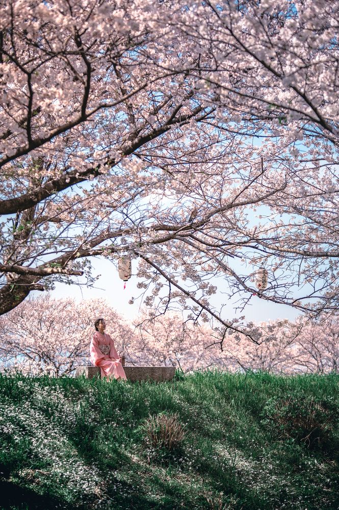 Photograph by Uesan Aliace