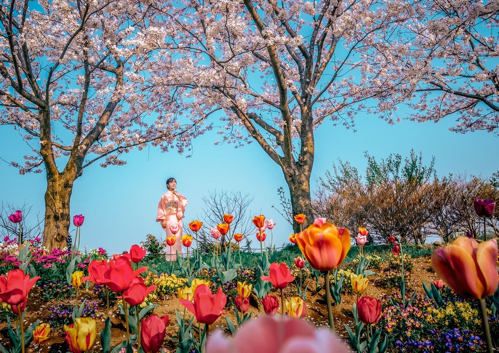 Фотография автора Uesan Aliace