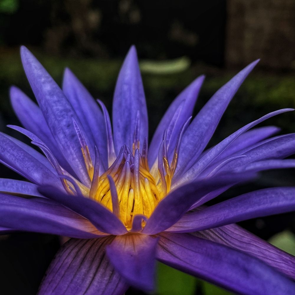 Фотография автора Akhila Raj