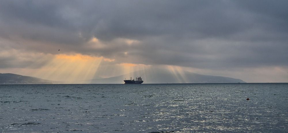 Photograph by Светлана Светлова