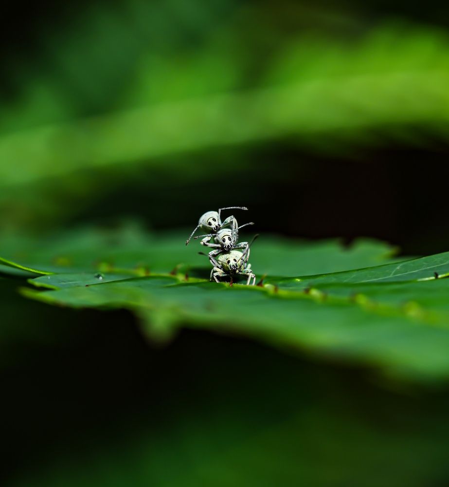 Photograph by Sumi H