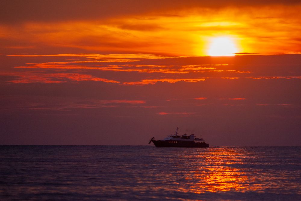 Photograph by Роман Приходько