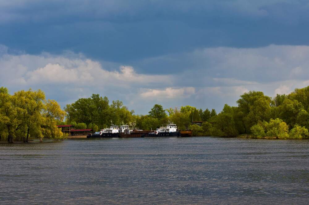 Photograph by Дмитрий Жуков