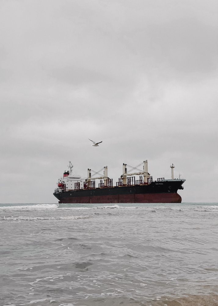 Photograph by Анна Голубцова