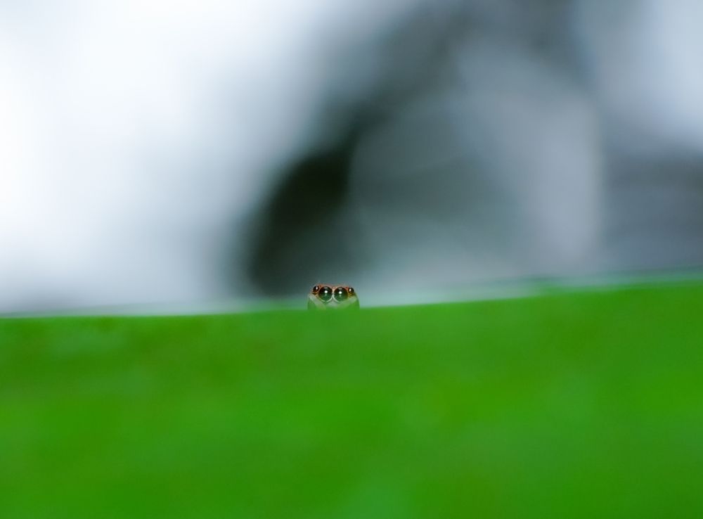 Photograph by Sumi H