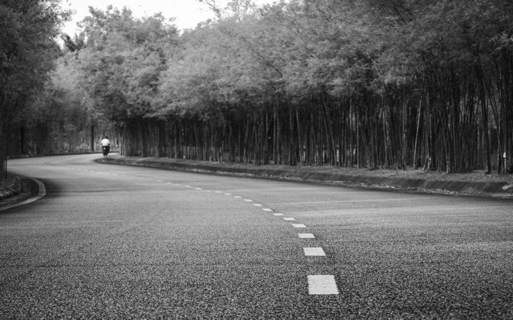 The Silent Geometry Of Journey