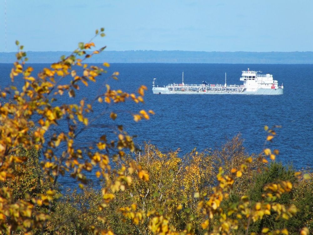 Фотография автора Андрей Шестаков