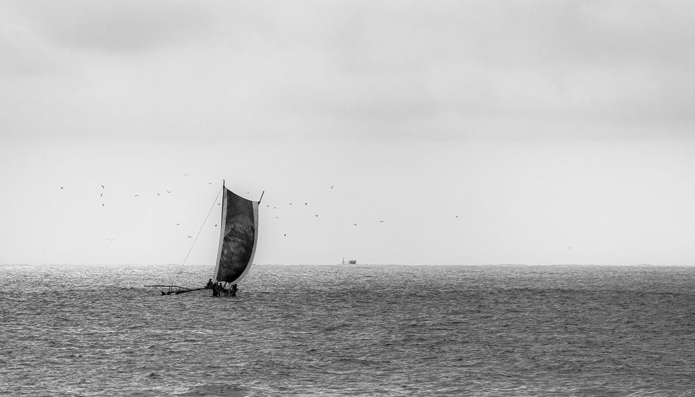 Photograph by Dimuthu Harshana Elwala