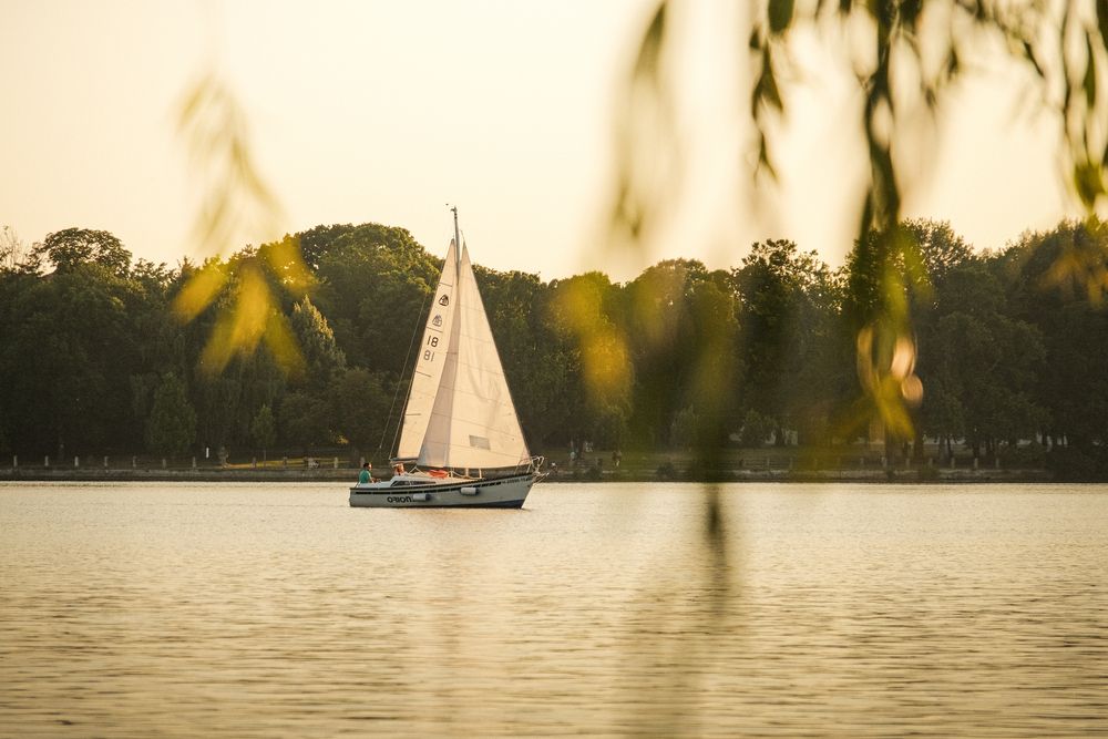 Photograph by Veronika Biró