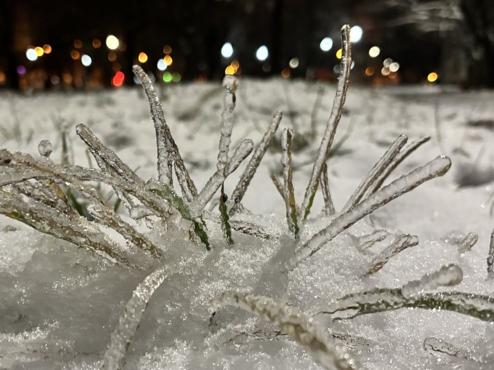 Photograph by Светлана Гринкевич