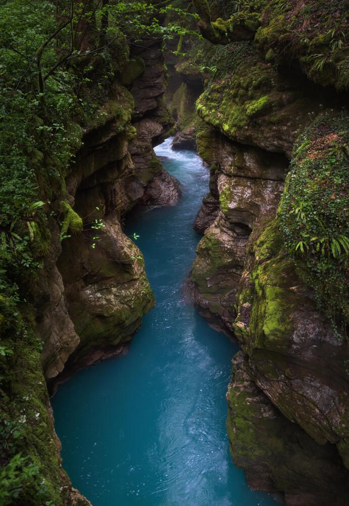 Photograph by Полина Хрол