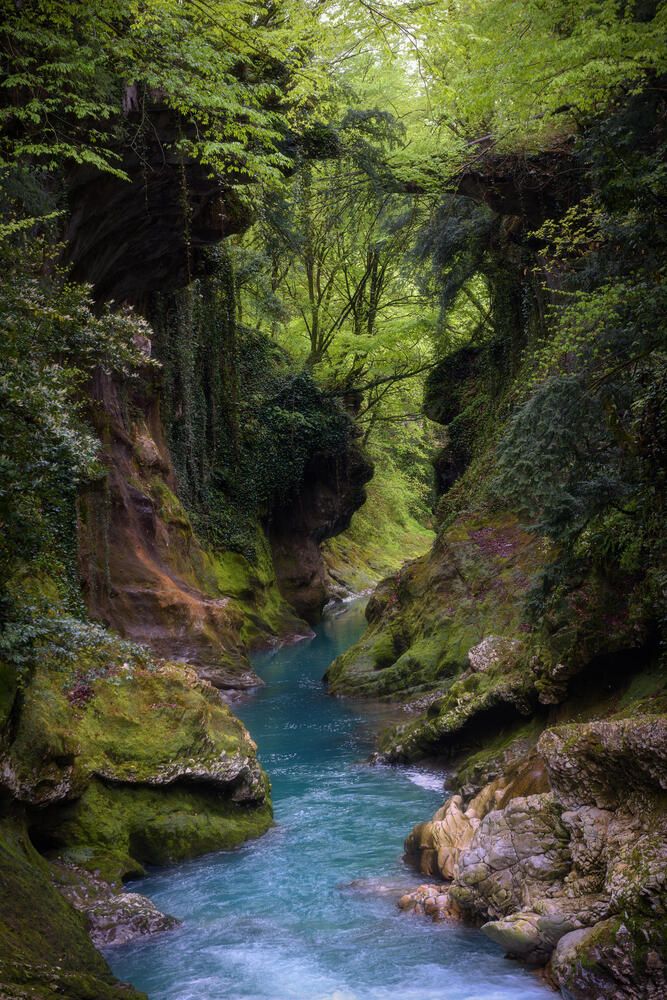 Photograph by Полина Хрол