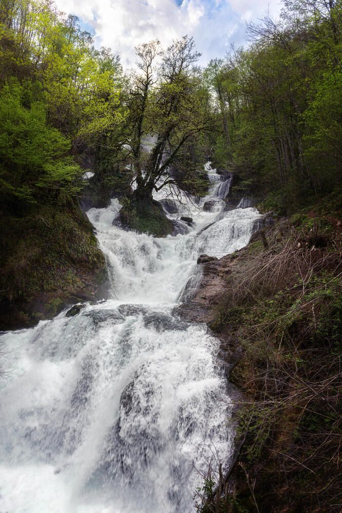 Photograph by Полина Хрол