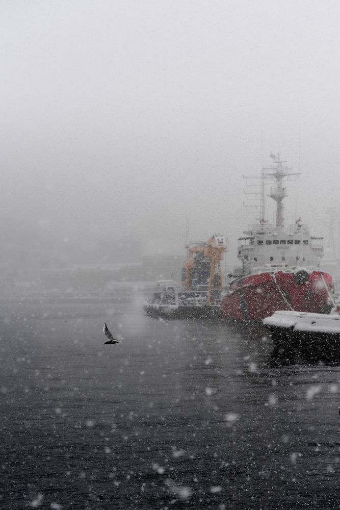 Фотография автора Купчиков Илья