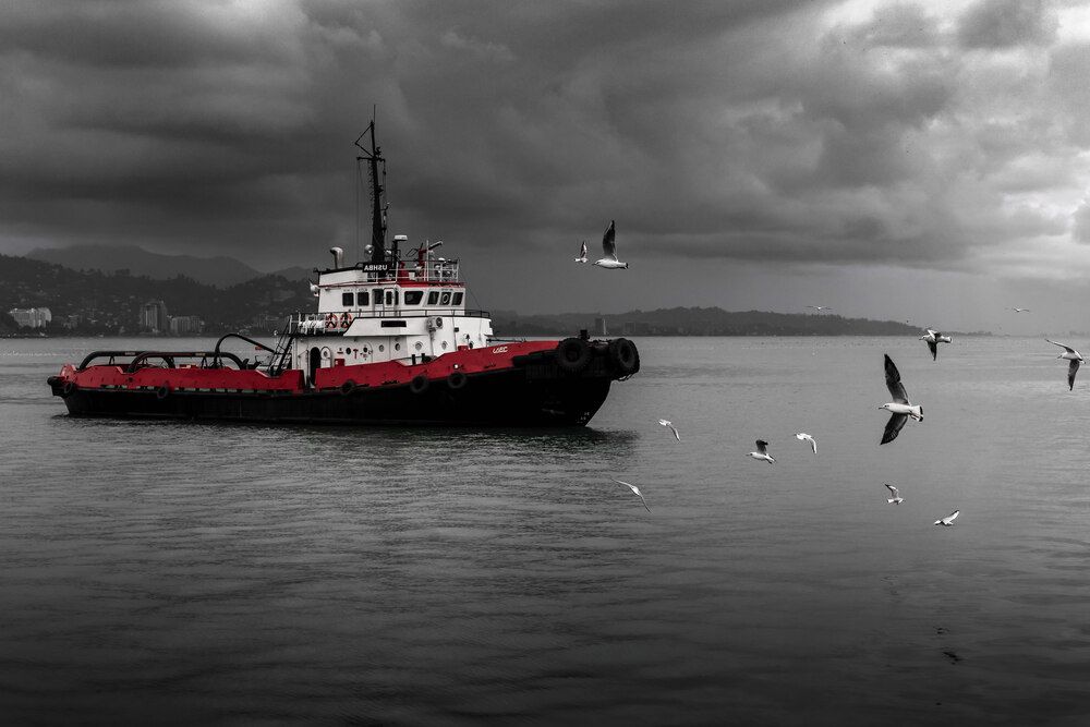 Фотография автора Купчиков Илья