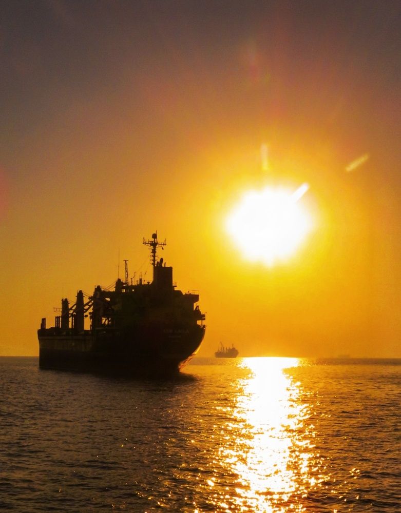 Photograph by Shahrzad Shahrokhi