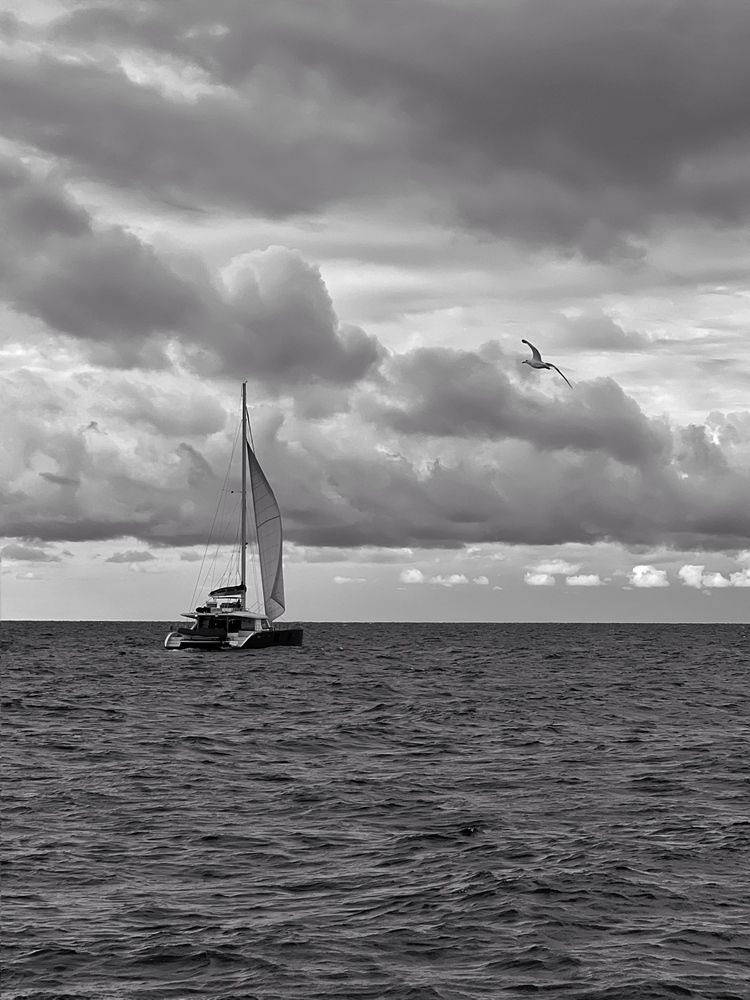 Photograph by Яна Сел