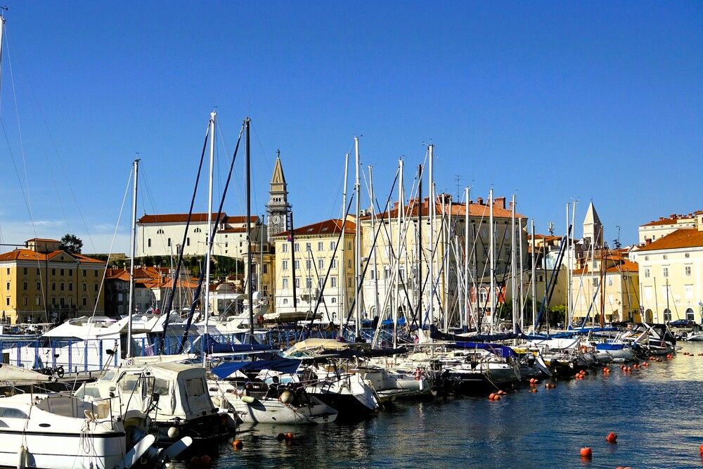 Photograph by jelena konickaja