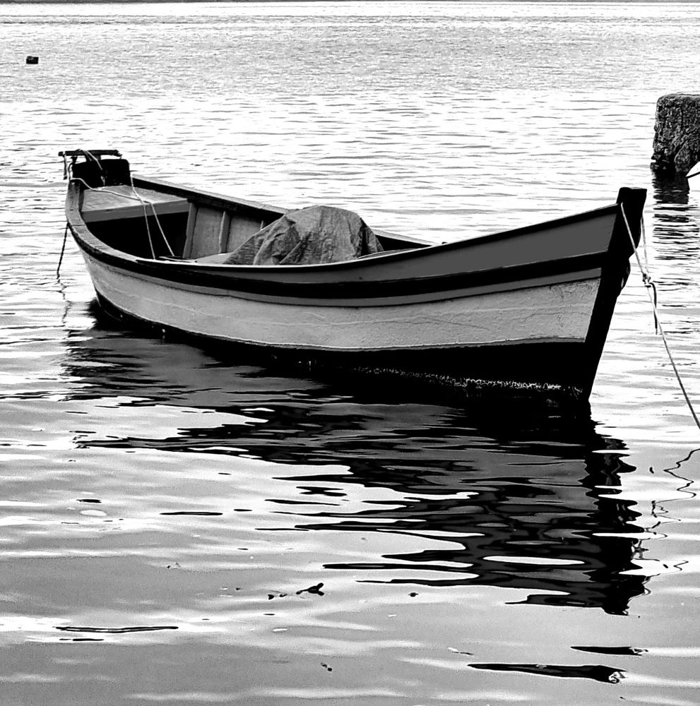 Photograph by Gr Marie