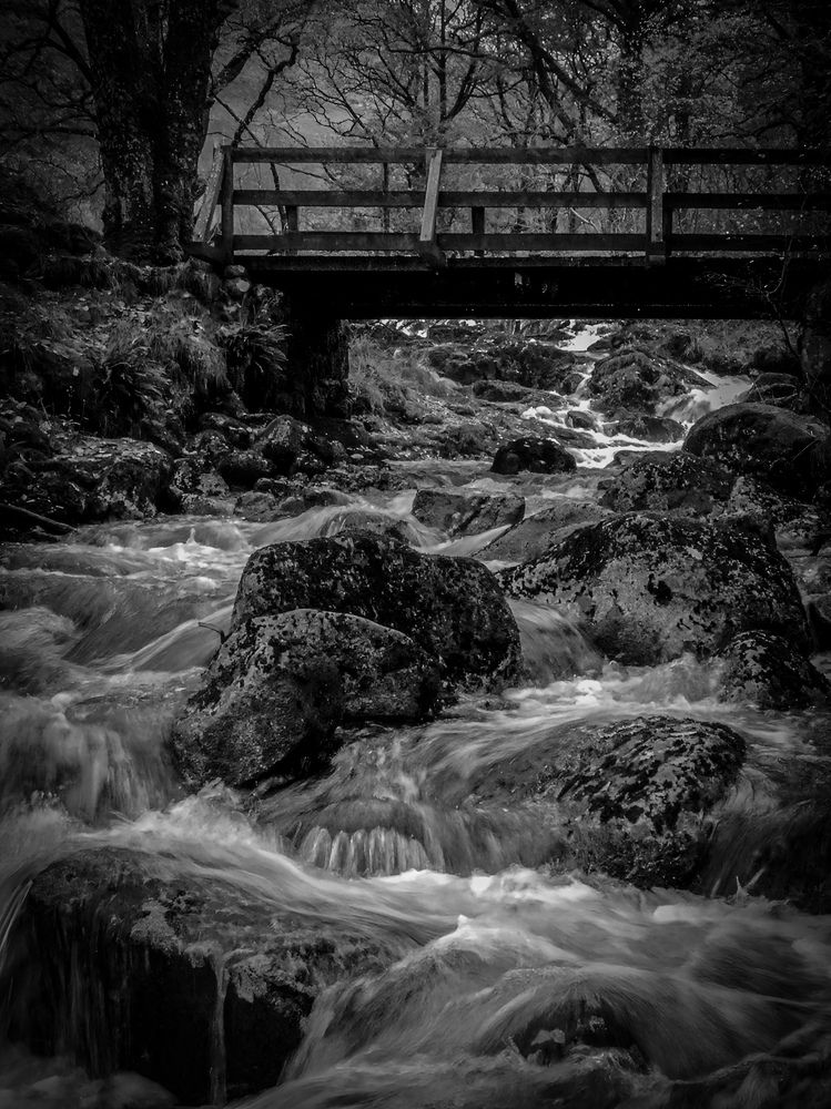 Photograph by Michael Gault
