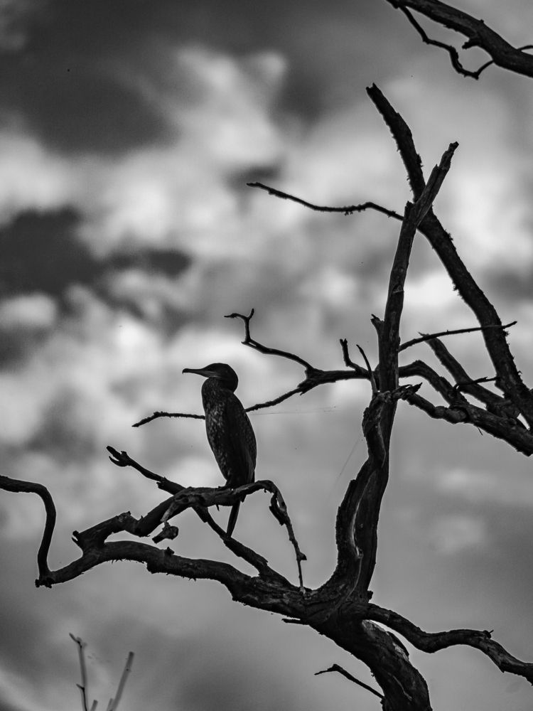 Photograph by Valdis Serzhans