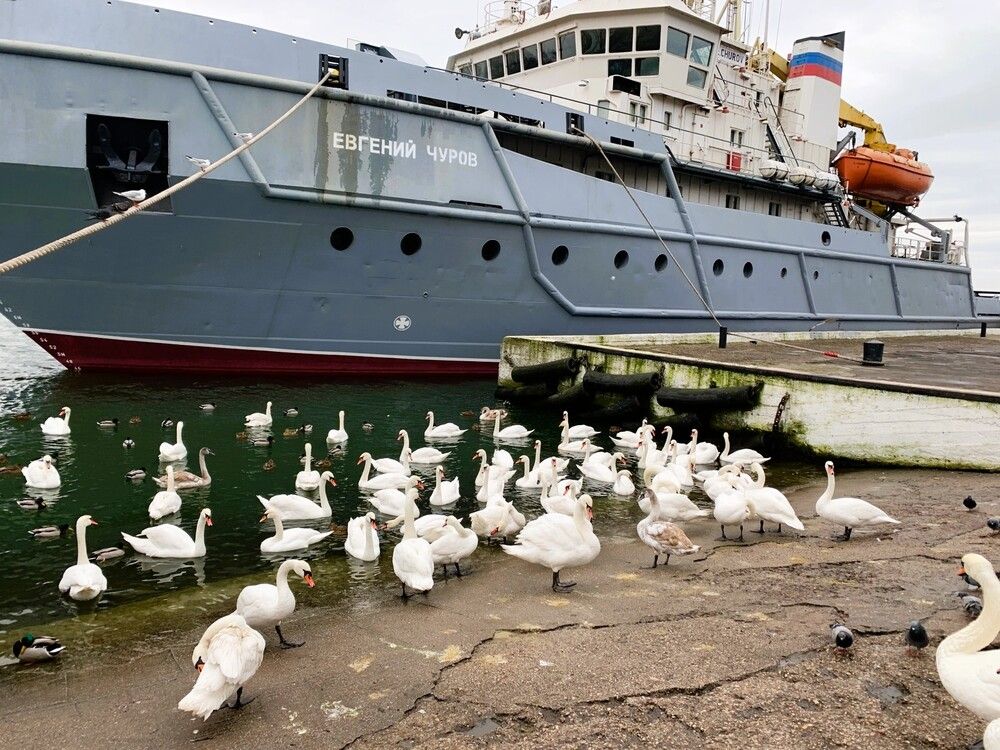 Photograph by Светлана Парамонова