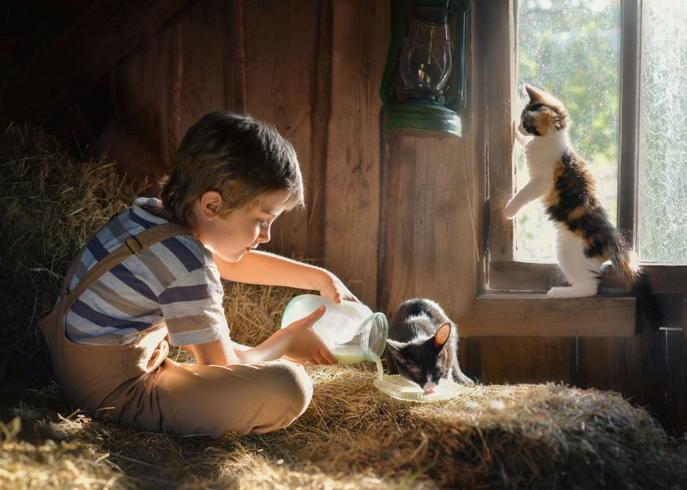 Photograph by Ирина Ефимова