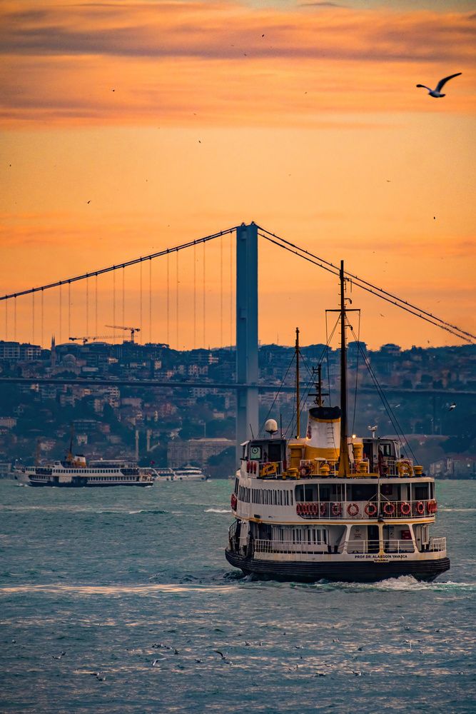 Фотография автора Oleg Gurev