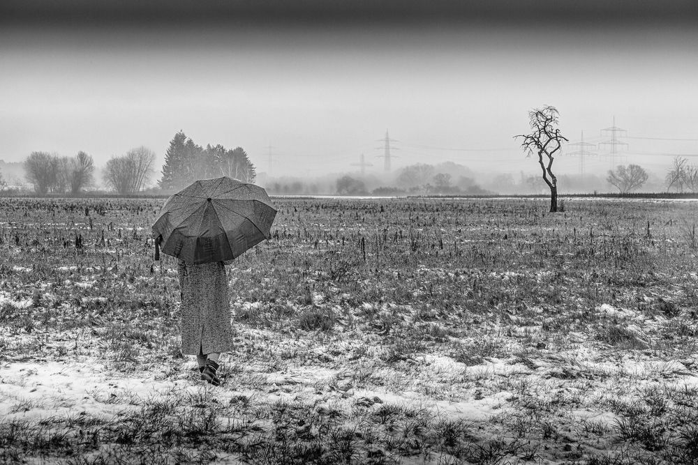 Photograph by Mostafa Mohammad Beigi