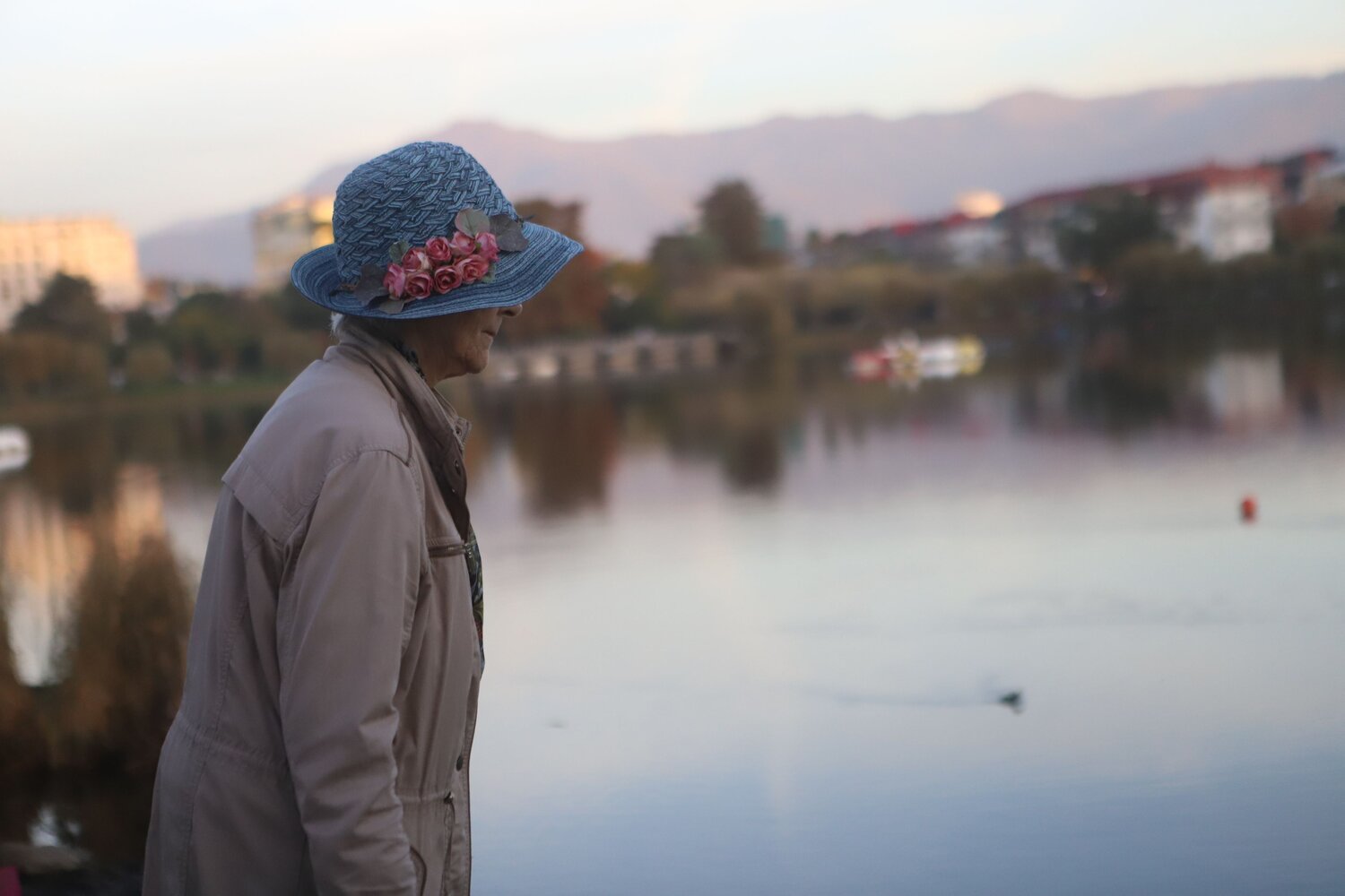 Photo #12874368