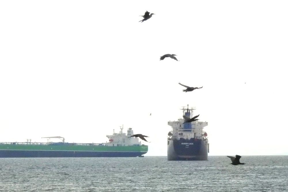 Photograph by fuat cimok