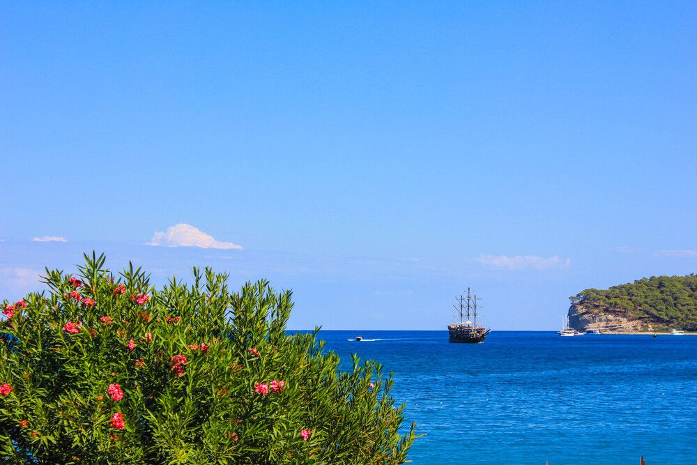 Photograph by Елена Поспелова