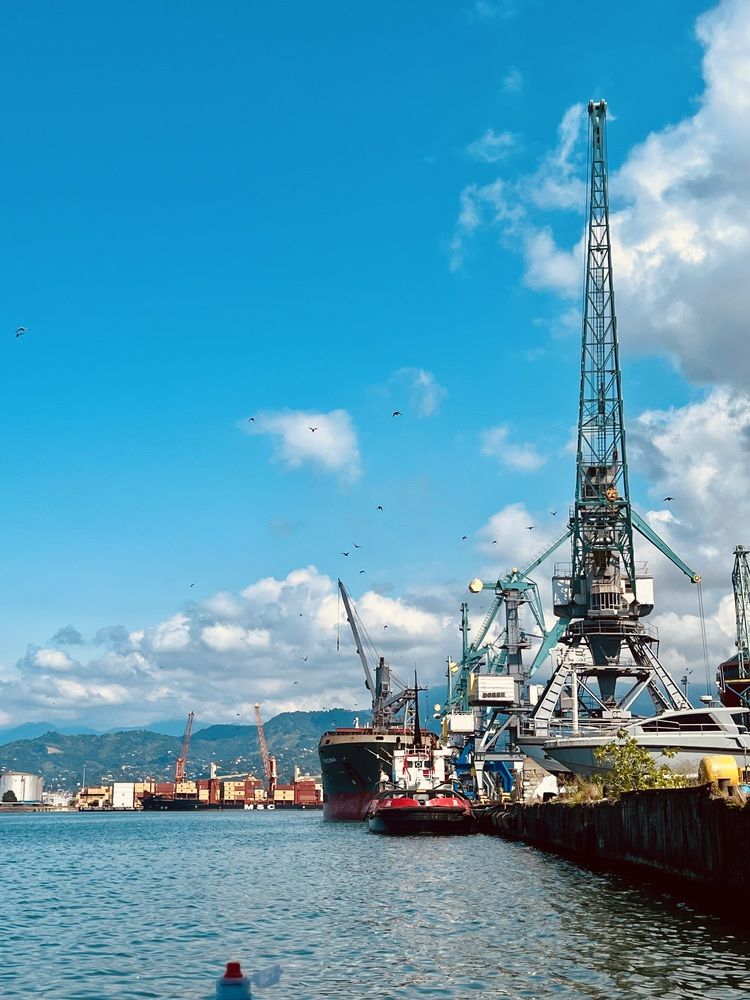 Photograph by Сюзанна