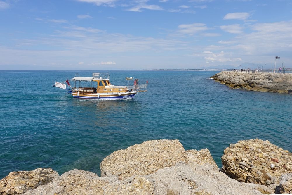 Photograph by Ионова Татьяна