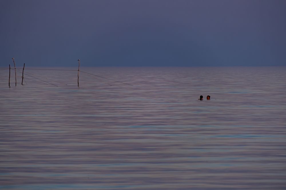 Photograph by Михаил Косолапов