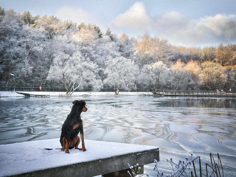 Фотография автора Васильева Светлана