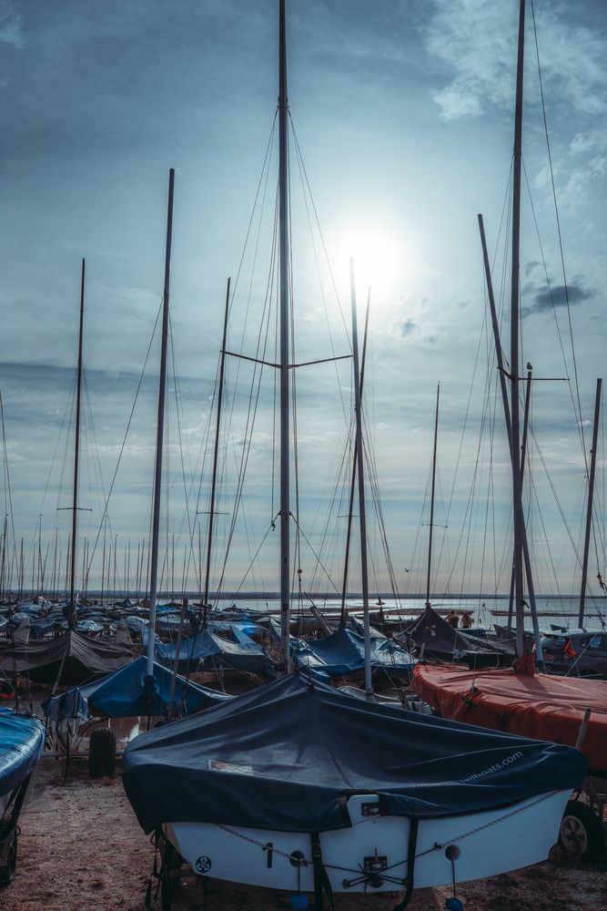 Photograph by Veslava